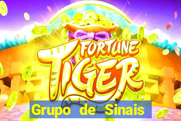 Grupo de Sinais Roleta whatsapp