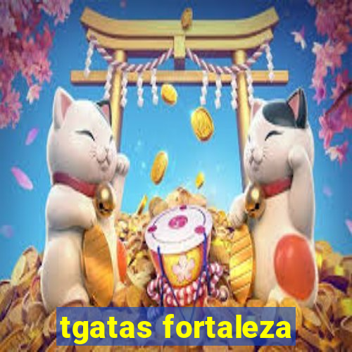 tgatas fortaleza