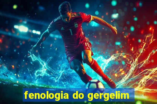 fenologia do gergelim