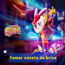 fumar canela da brisa