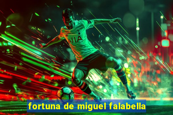 fortuna de miguel falabella