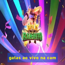 gatas ao vivo na cam