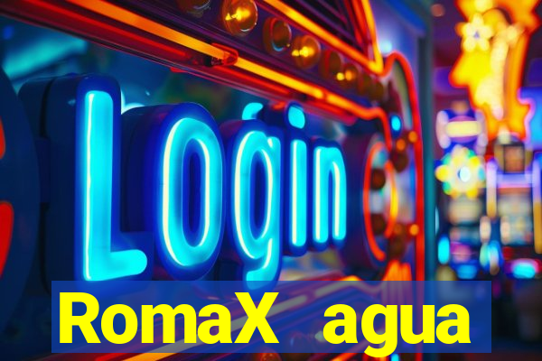 RomaX agua sanitaria fispq agua sanitaria romax